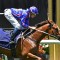 Punters crunch star colt in the Moir Stakes