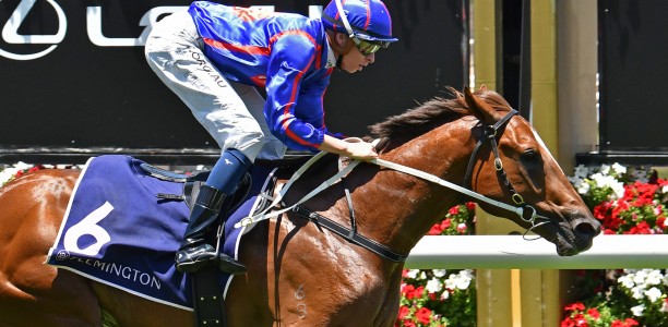 Punters crunch star colt in the Moir Stakes