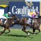 Star Kiwi’s odds crunched in the Sandown Stakes
