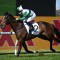 Metropolitan Handicap on the radar for tough Entente