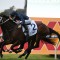Gloaming Stakes win brightens tough day for ‘JMac’