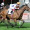 Weekend winners cop Caulfield Cup and Melbourne Cup penalties