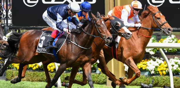 Melbourne Cup winner out of the spring with injury