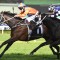 Kaapfever too hot for Australia Day Cup rivals