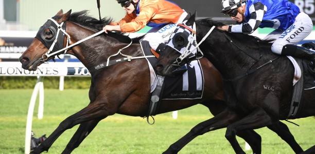 Kaapfever too hot for Australia Day Cup rivals
