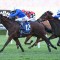 Spacewalk lands overdue stakes win