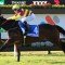 Ipswich’s time to shine with full fields likely for Cup day