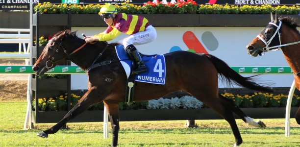 Ipswich’s time to shine with full fields likely for Cup day