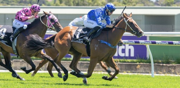 Belmont Guineas improvement from Saintorio says Miller