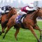 Age no barrier for King Magnus