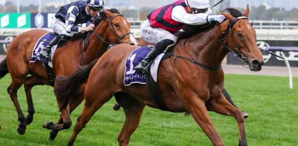 Age no barrier for King Magnus