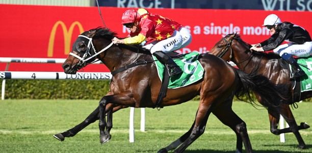 Waller taking youthful approach to spring