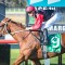 Opal Ridge proving a rare gem for Luke Pepper