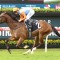 Boom sprinter heads odds in the Healy Stakes