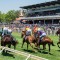 Greater prize money drives growth for WA racing
