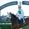 No Fears for Pike in Rogan Josh Stakes