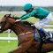 Punters think the Coronation Stakes is a one horse race