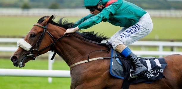 Punters think the Coronation Stakes is a one horse race