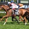 $5m King Charles III Stakes to be run alongside The Everest
