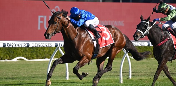 The 7 Stakes