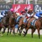 Matthew Smith reveals Everest dream for Buenos Noches