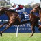 Grebeni heads early odds for the Winx Guineas