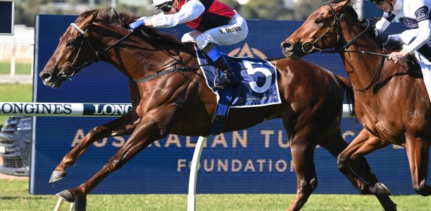 Grebeni heads early odds for the Winx Guineas