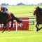 Auguste Rodin gives Ryan Moore first Irish Derby win