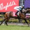 Flying Mascot set for Sir John Monash Stakes return