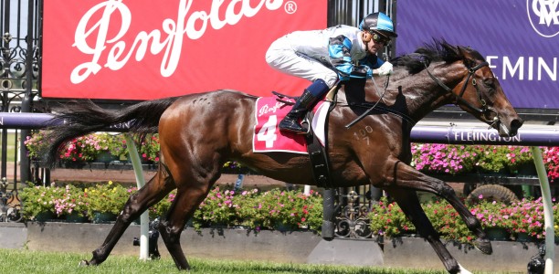 Flying Mascot set for Sir John Monash Stakes return