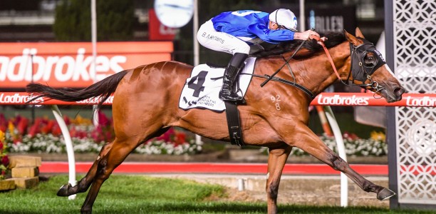 Matthew Brown has Plan B for Prix De Turn