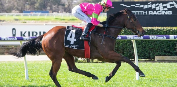 Distance rise no problem for Bitofmerit