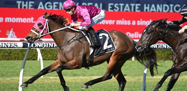 Cigar Flick smokes rivals at Randwick