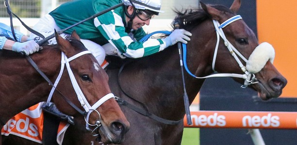 Carleen Hefel’s Sigh of relief after Group 3 win