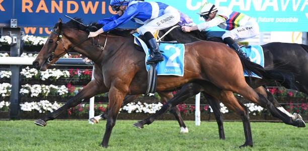 Nathan Doyle hunting Ramornie Handicap Bliss