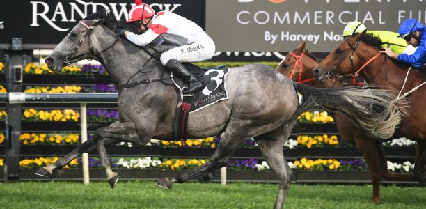 Well-related siblings feature in Randwick entries
