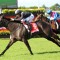 Exciting sprinter heads odds for the Ramornie Handicap