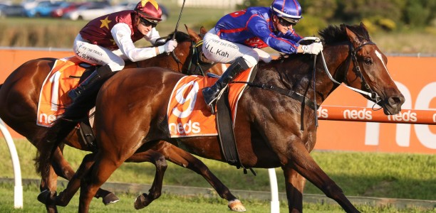 Ayrton on track for Spring Racing Carnival return