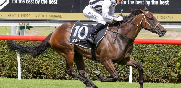 Another Award sells for $1.2m