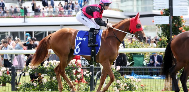 Dubenenko heads odds for the Oaklands Plate