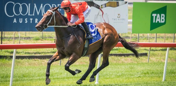 Le Melody’s odds crunched at Grafton
