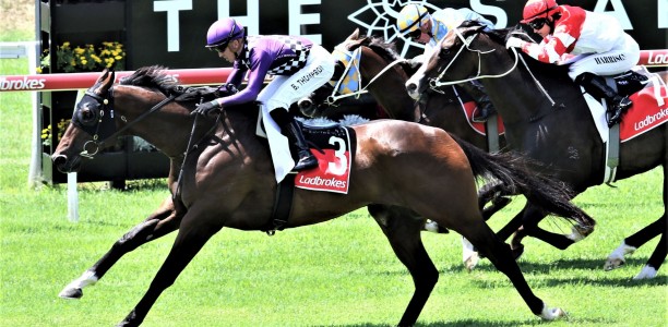 Namazu heads early odds for the Mackay Cup