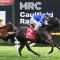Fitter Ingratiating to step out at Caulfield
