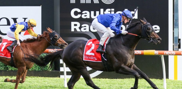 Fitter Ingratiating to step out at Caulfield
