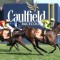 Talented sprinter heads odds in the Bletchingly Stakes