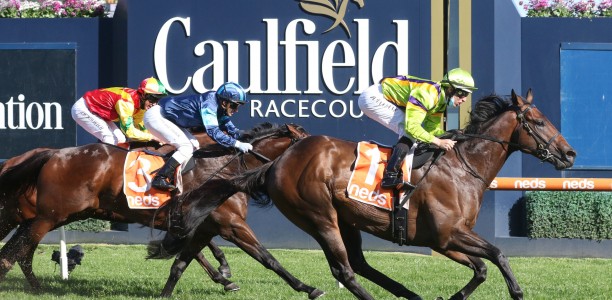 Talented sprinter heads odds in the Bletchingly Stakes