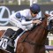 Stars to step out at trials