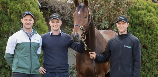 Will Hayes to join brothers at Lindsay Park