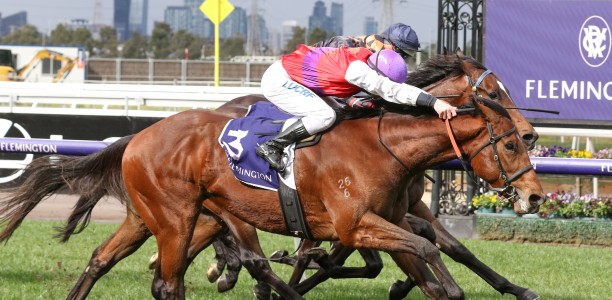 Heirborn heads early odds for the Winter Cup at Townsville