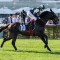 Melbourne Cup fancy a likely Moonee Valley starter